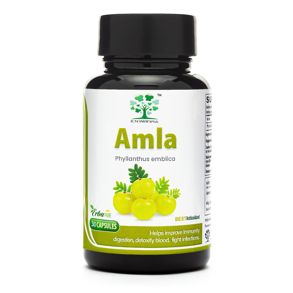 AMLA - Amalaki (Phyllanthus emblica fruit) extract